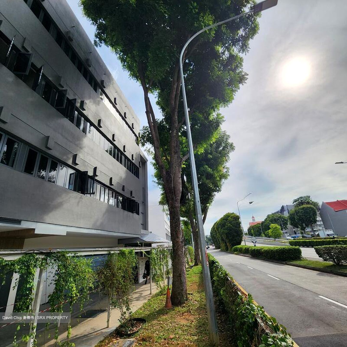 Sanctuary @ 813 (D19), Shop House #498305631